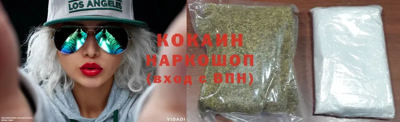 кракен tor  Колпашево  Cocaine FishScale  где продают наркотики 